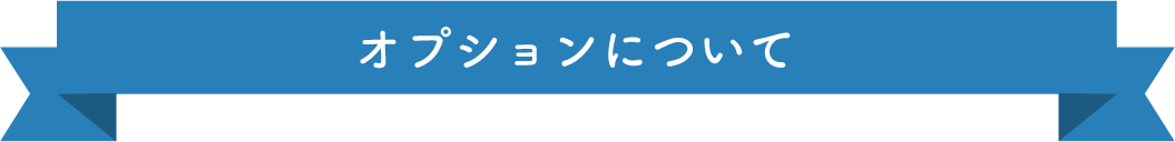 オプションについて